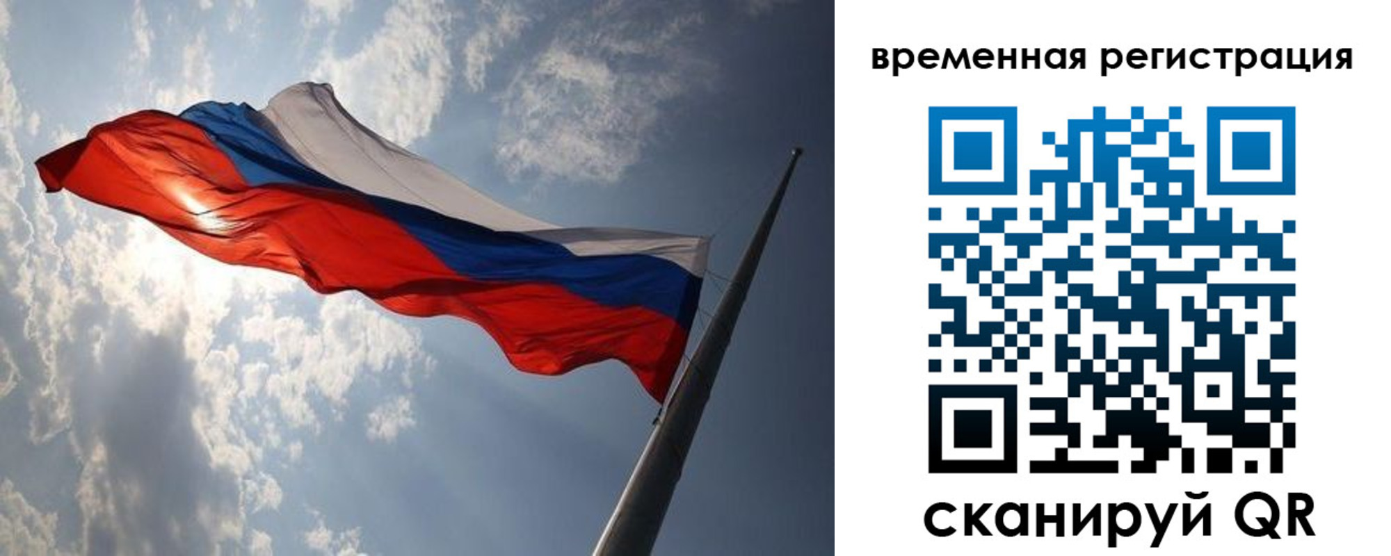 прописка 2025 в Сольцах